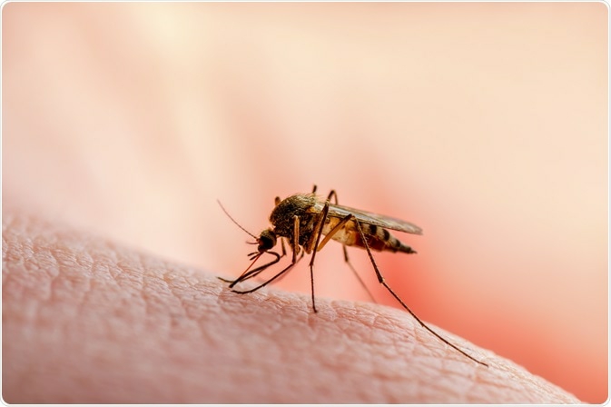 मलेरिया व डेंगू से बचने के लिए सावधानी बरते नागरिक : डॉ सुभाष खतरेजा